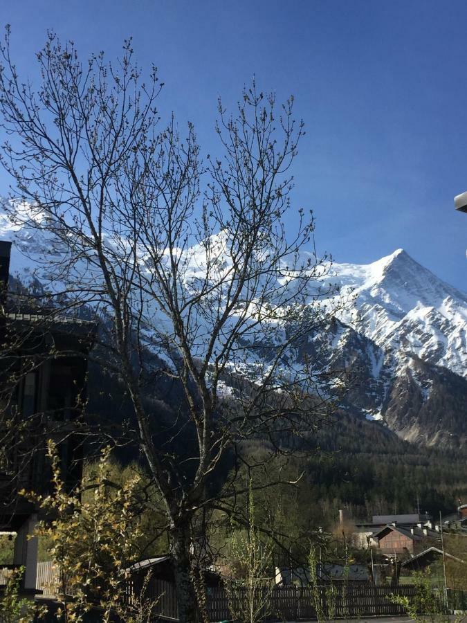 Grand Paradis Chamonix Bagian luar foto
